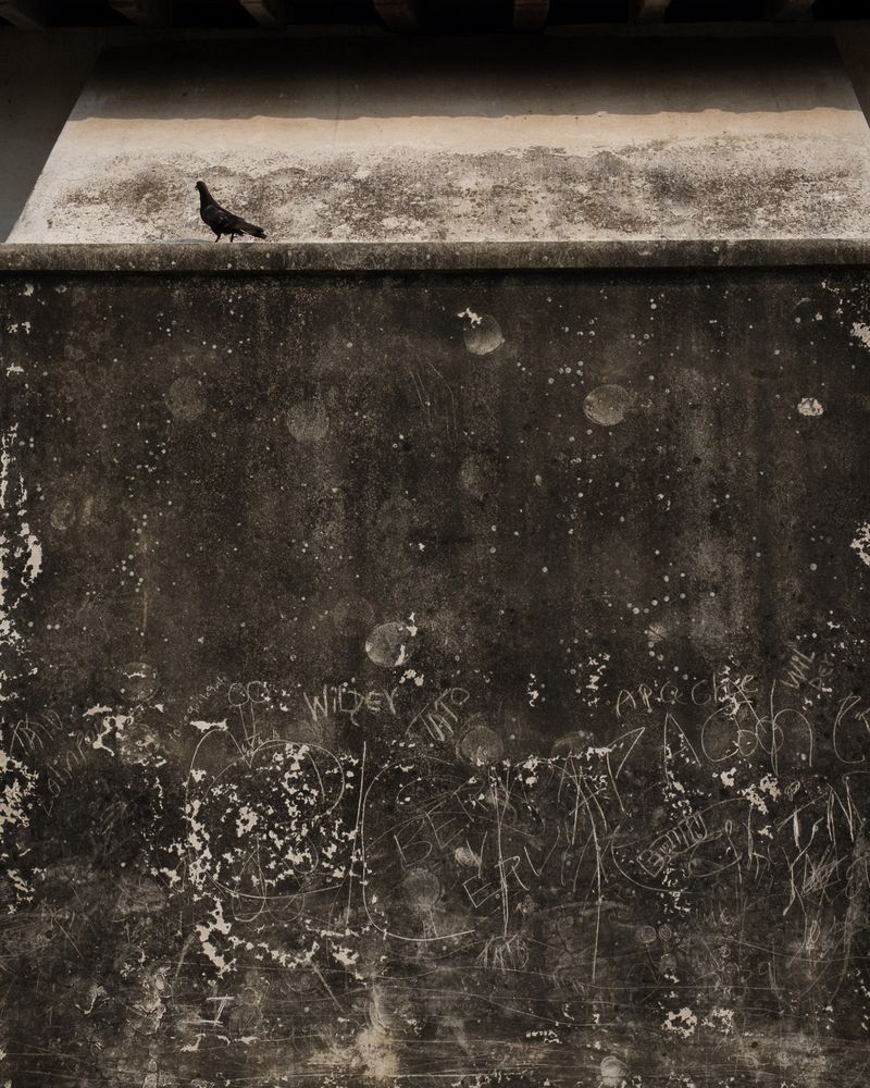 © Perreault Louis - Image from the Volcán photography project