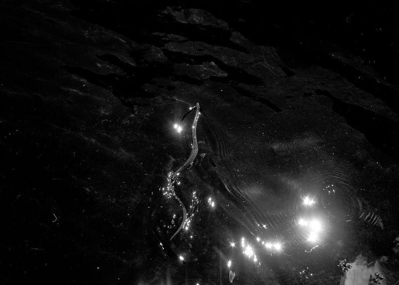 © Perreault Louis - Image from the Les affluents photography project