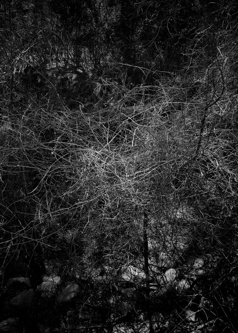 © Perreault Louis - Image from the Les affluents photography project