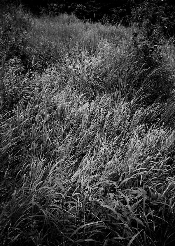 © Perreault Louis - Image from the Les affluents photography project