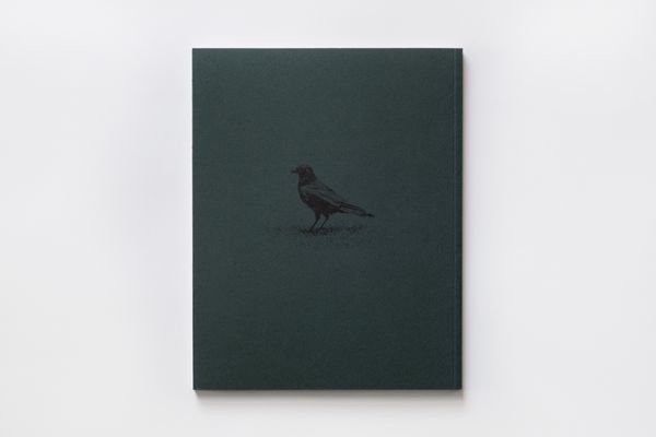 Image from a project on PhMuseum