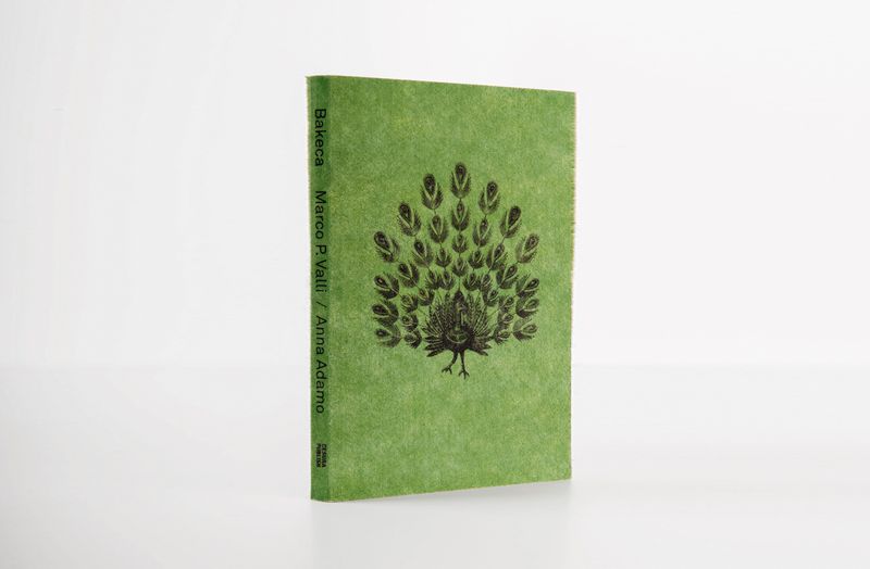 © Cesura Publish - Image from the BAKECA | Marco P. Valli & Anna Adamo photography project