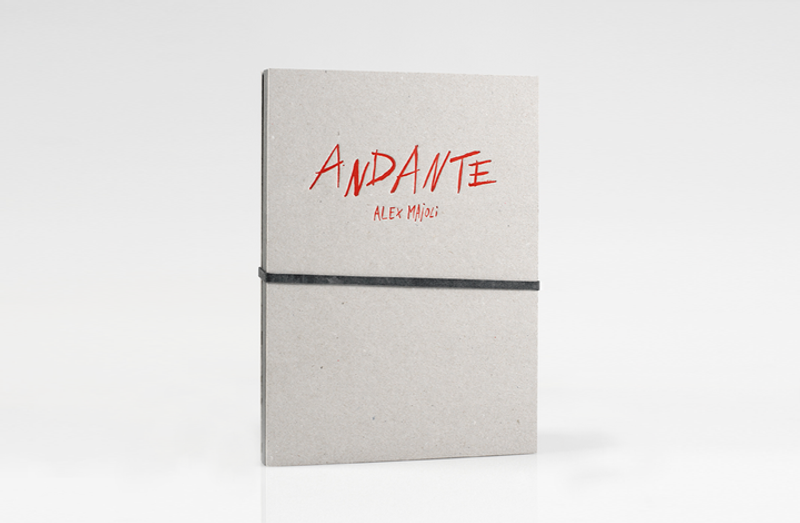 © Cesura Publish - Image from the ANDANTE | Alex Majoli photography project