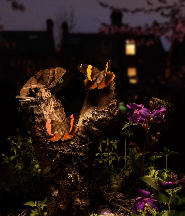 © Diego Fabro - Image from the Reverie photography project