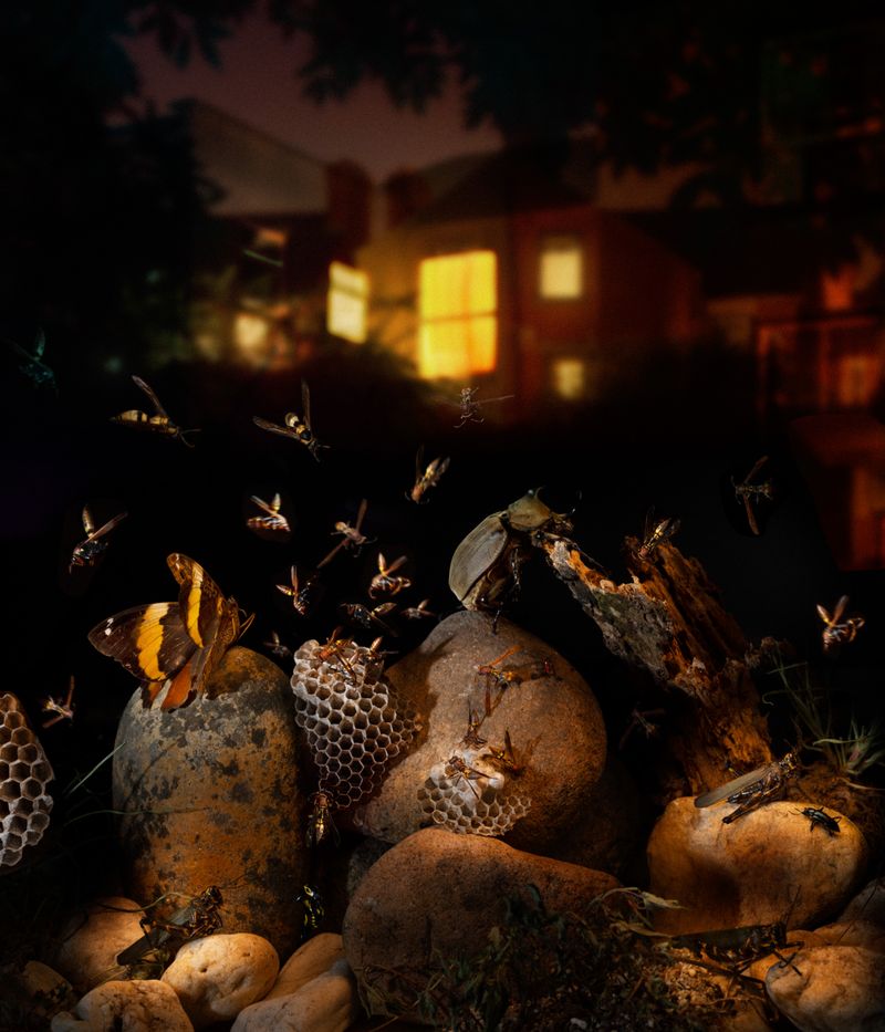 © Diego Fabro - Image from the Reverie photography project