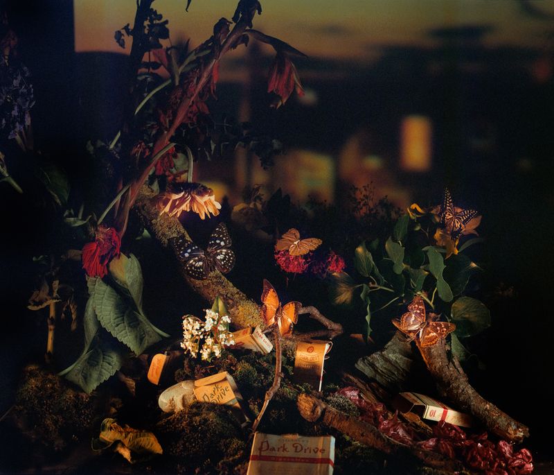 © Diego Fabro - Image from the Reverie photography project