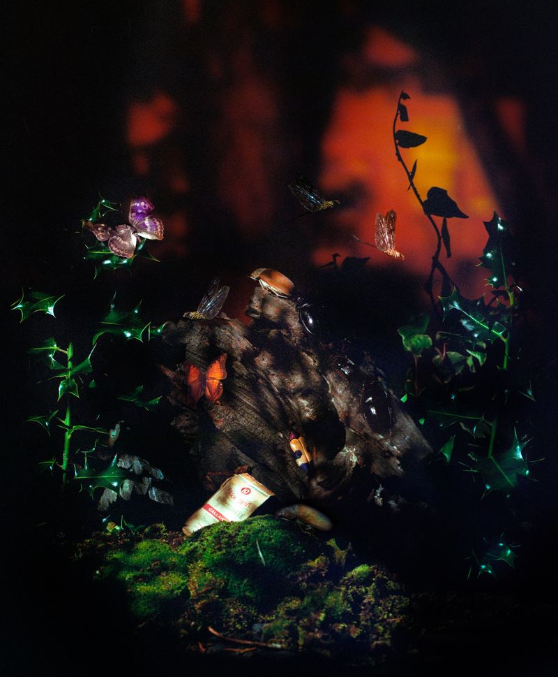 © Diego Fabro - Image from the Reverie photography project