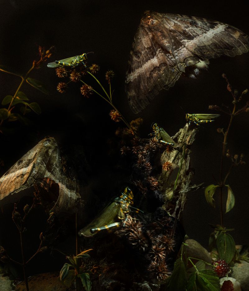 © Diego Fabro - Image from the Reverie photography project