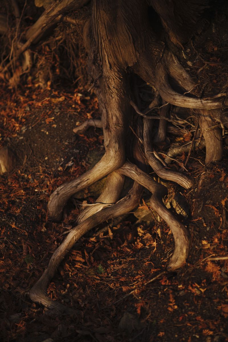 © Kate Warren - Image from the The Brightest Aching Slit photography project
