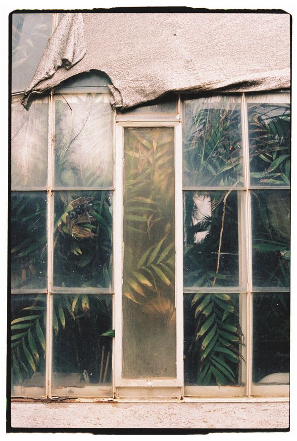© Anna Jopp - Image from the Botanical gardens photography project
