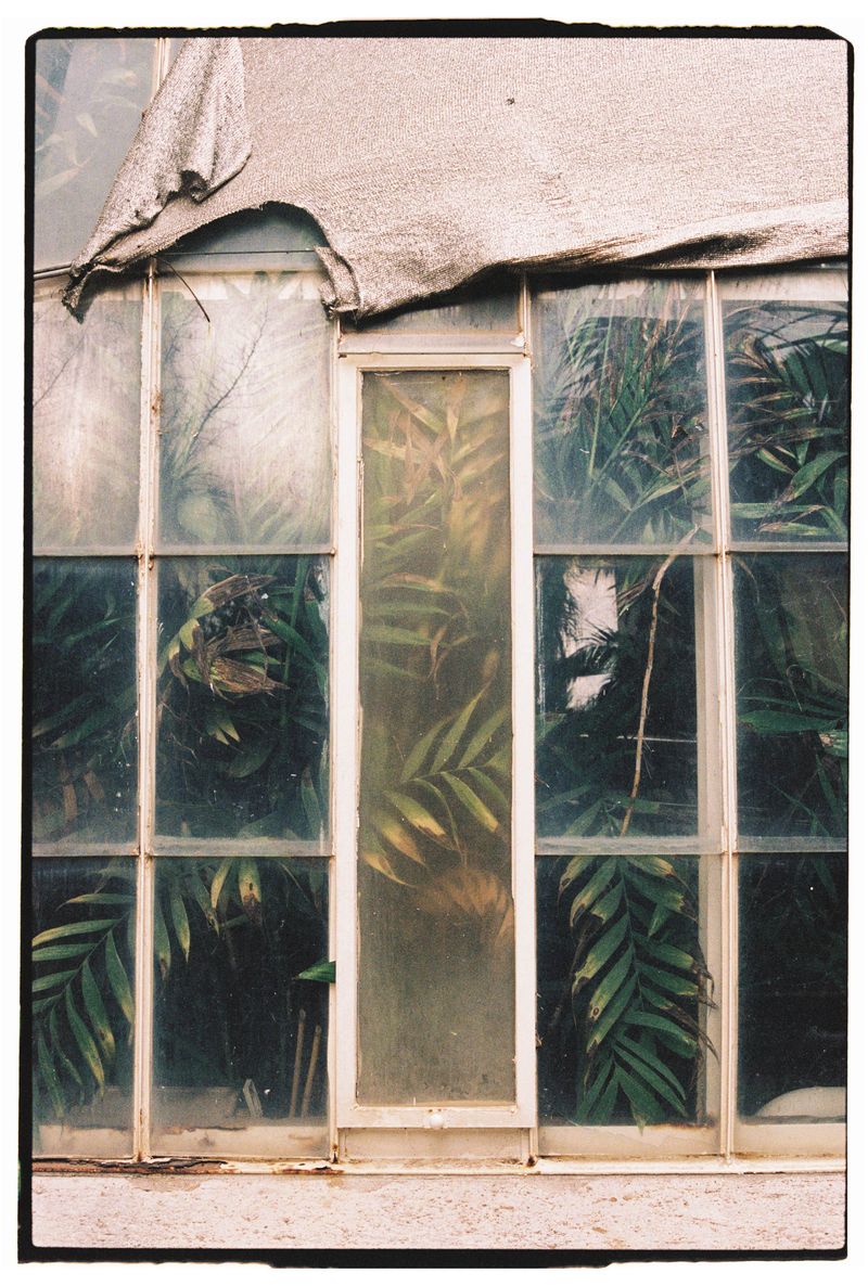 © Anna Jopp - Image from the Botanical gardens photography project