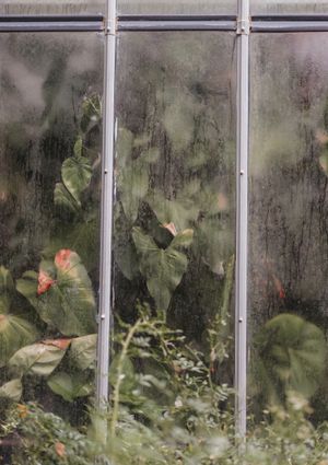 Botanical gardens