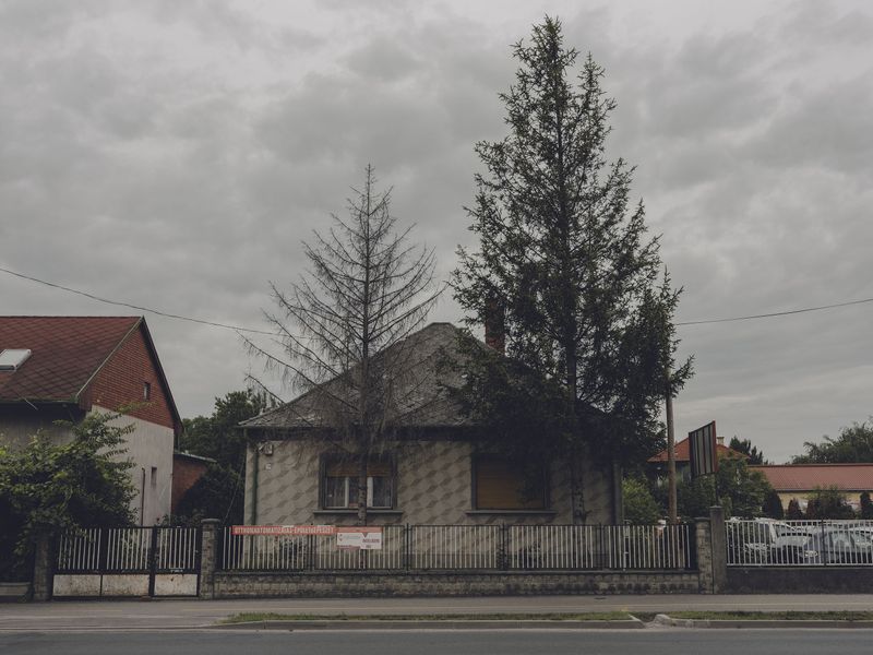 © Anna Jopp - Image from the I never thought it would happen to my garden photography project