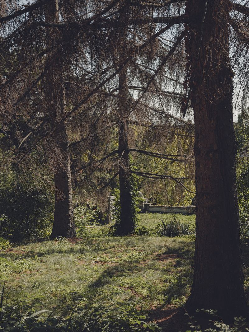 © Anna Jopp - Image from the I never thought it would happen to my garden photography project