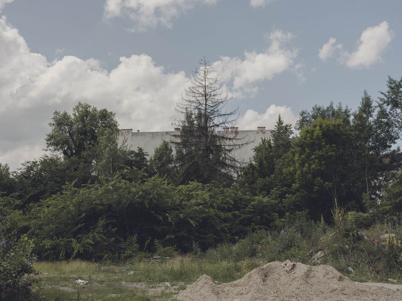 © Anna Jopp - Image from the I never thought it would happen to my garden photography project
