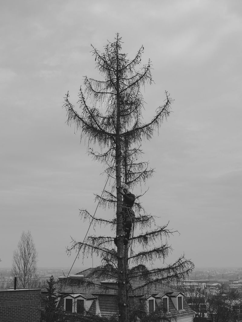 © Anna Jopp - Image from the I never thought it would happen to my garden photography project