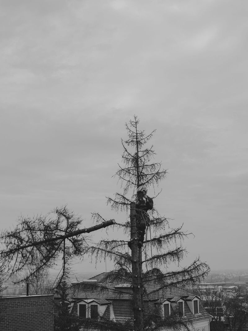 © Anna Jopp - Image from the I never thought it would happen to my garden photography project