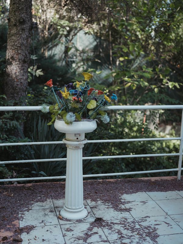 © Anna Jopp - Image from the I never thought it would happen to my garden photography project