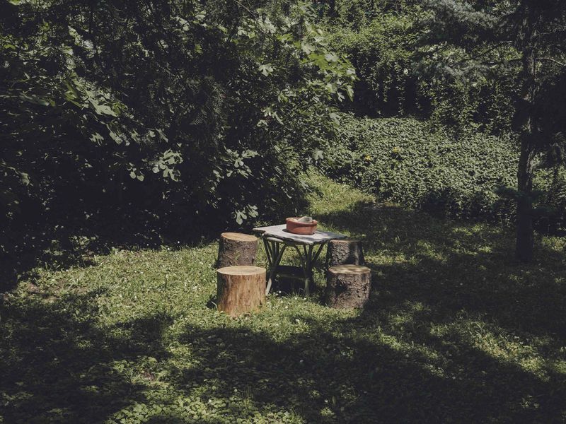 © Anna Jopp - Image from the I never thought it would happen to my garden photography project