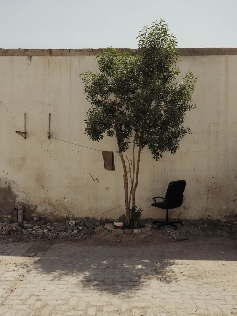 © Anna Jopp - Image from the On gardening photography project