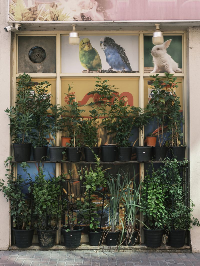 © Anna Jopp - Image from the On gardening photography project
