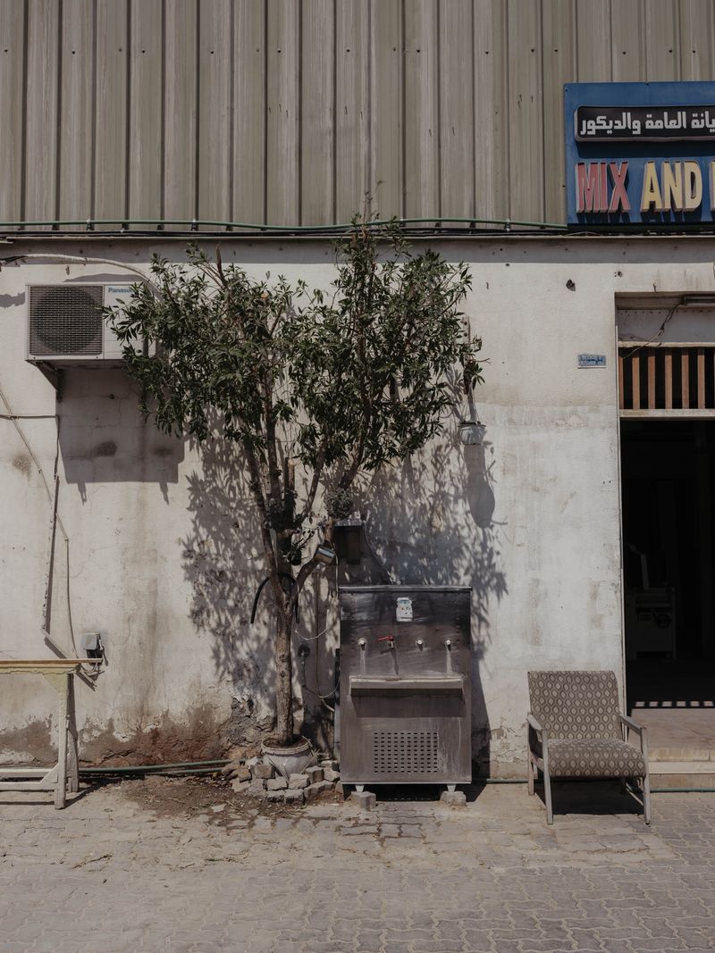 © Anna Jopp - Image from the On gardening photography project