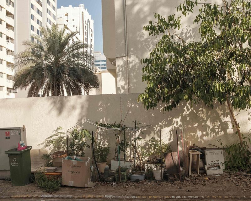 © Anna Jopp - Image from the On gardening photography project
