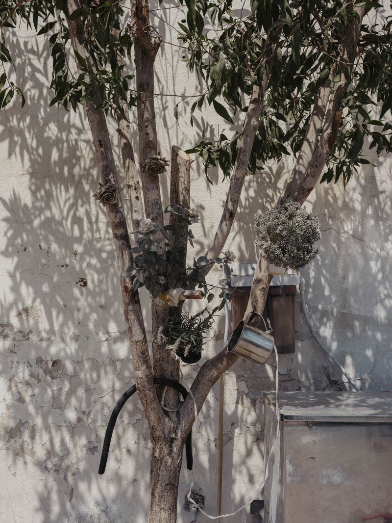 © Anna Jopp - Image from the On gardening photography project