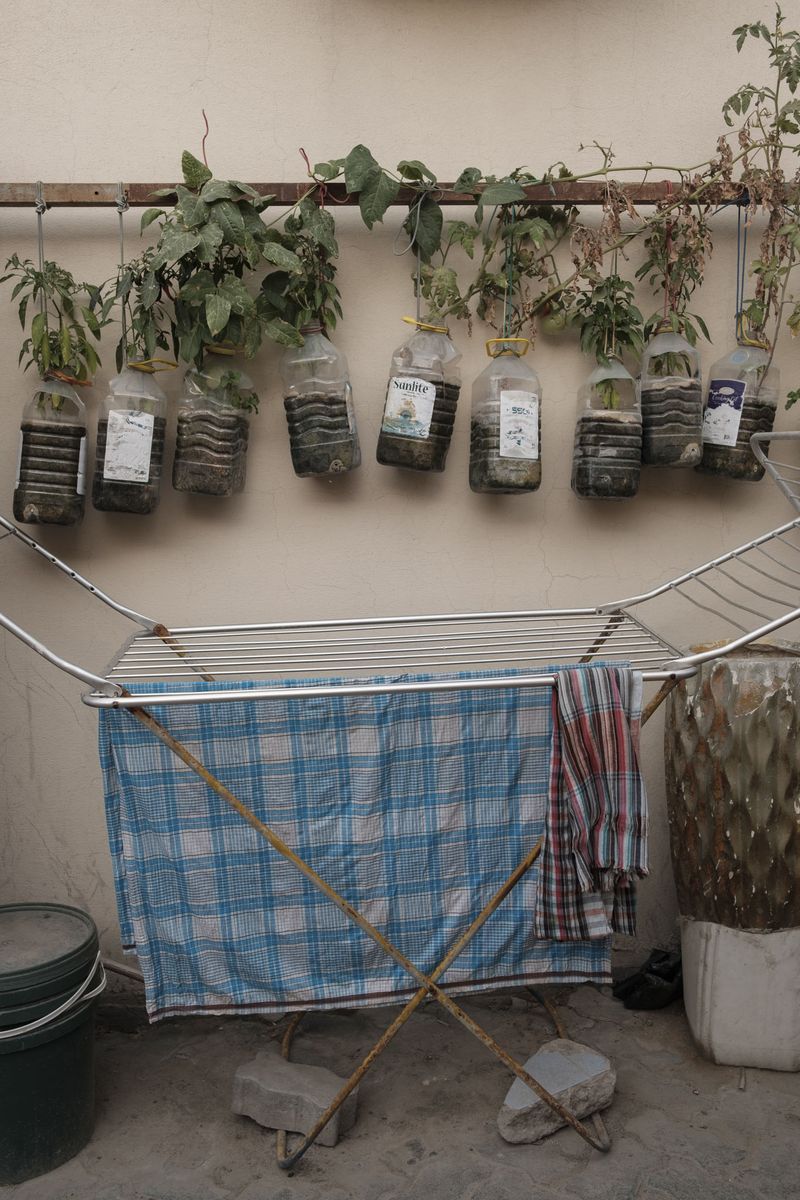 © Anna Jopp - Image from the On gardening photography project