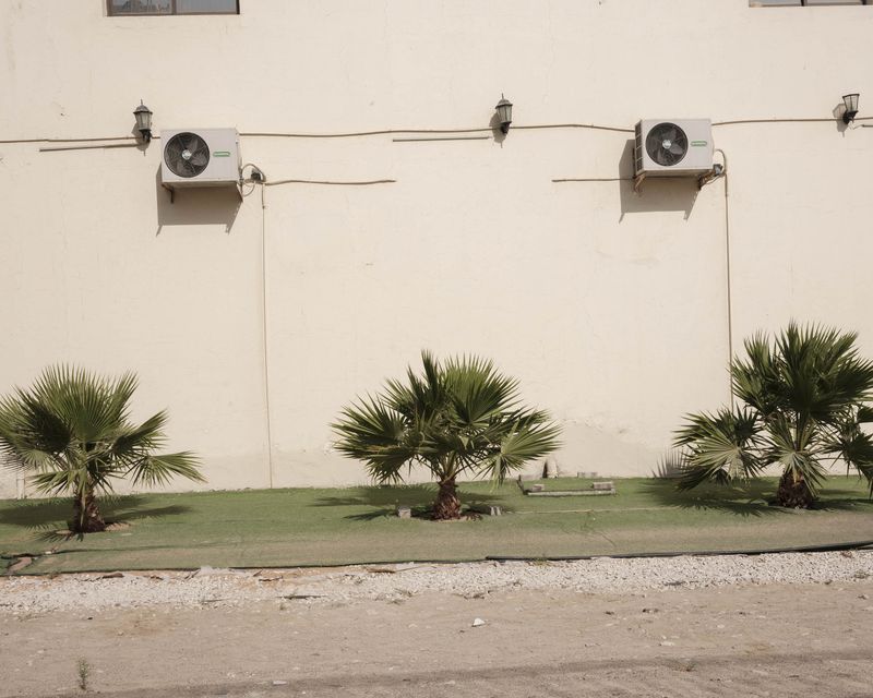 © Anna Jopp - Image from the On gardening photography project