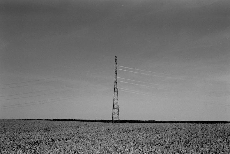 © Anna Jopp - Image from the Who's there to comfort the trees? [working title] photography project