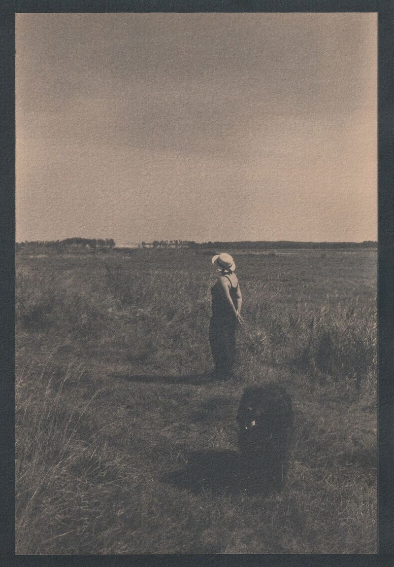 © Anna Jopp - Image from the Who's there to comfort the trees? [working title] photography project