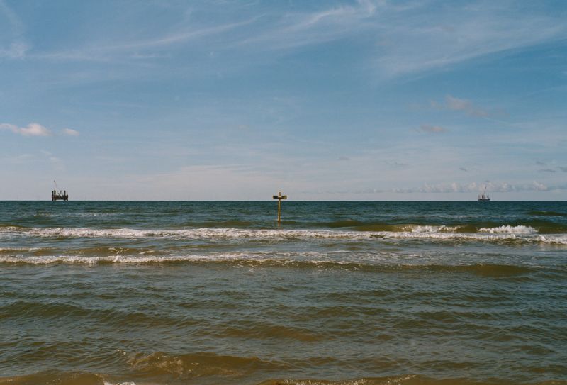 © Anna Jopp - Image from the Who's there to comfort the trees? [working title] photography project