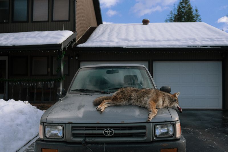 © Bobbi Barbarich - Image from the earth is not a cold dead place photography project