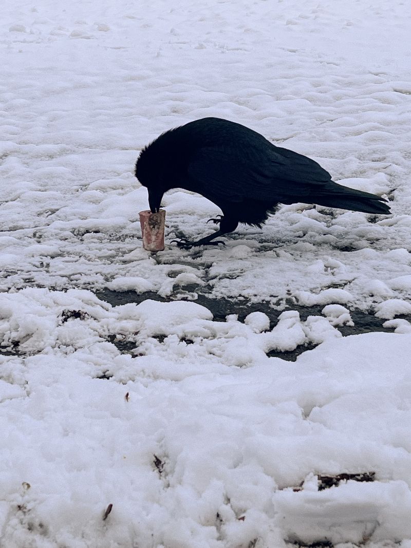 © Bobbi Barbarich - Image from the earth is not a cold dead place photography project