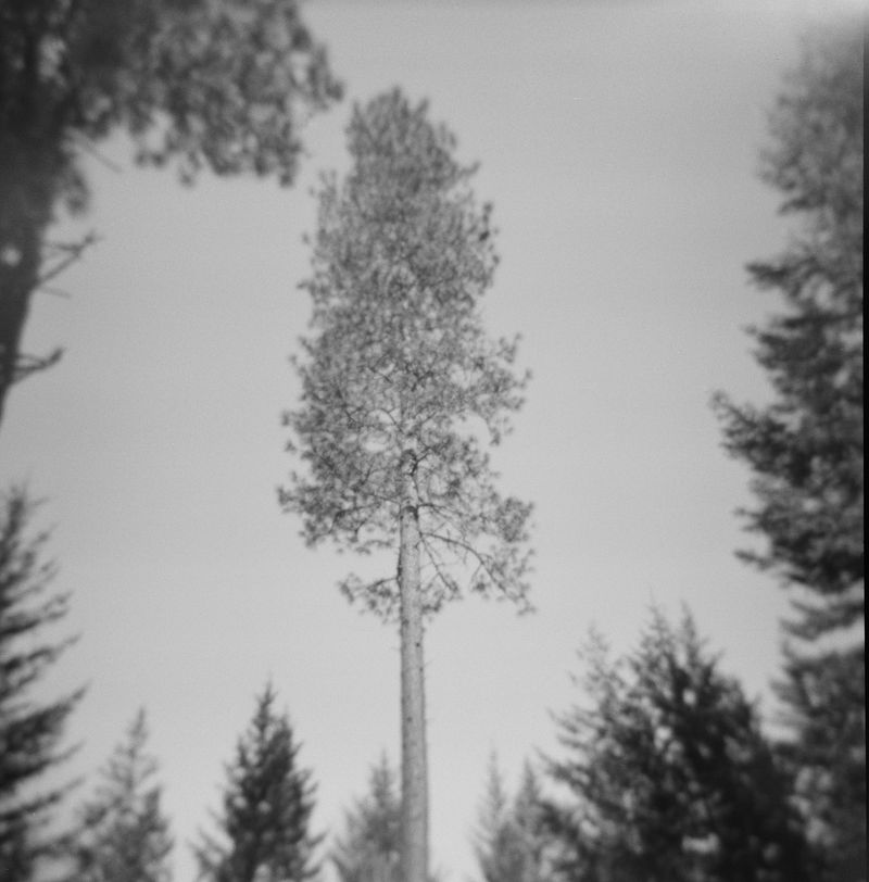 © Bobbi Barbarich - Image from the earth is not a cold dead place photography project