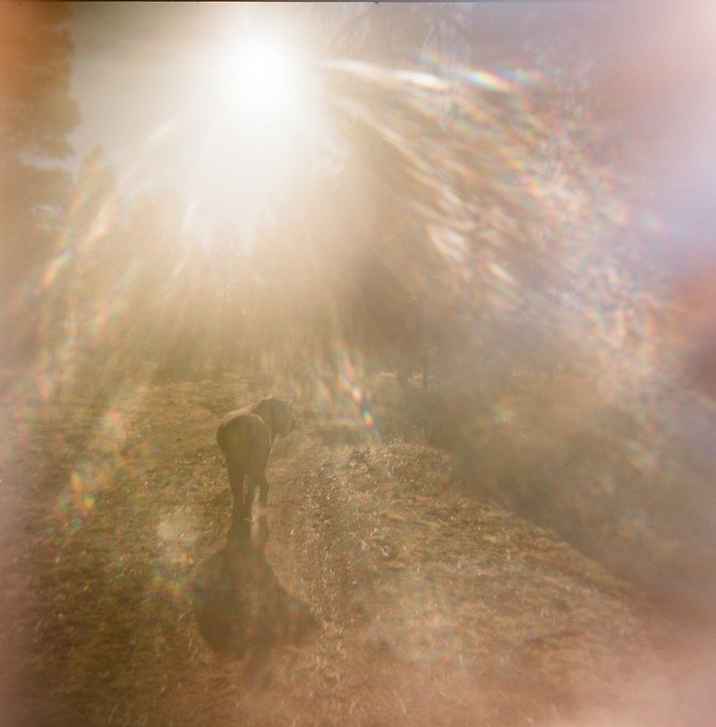 © Bobbi Barbarich - Image from the earth is not a cold dead place photography project