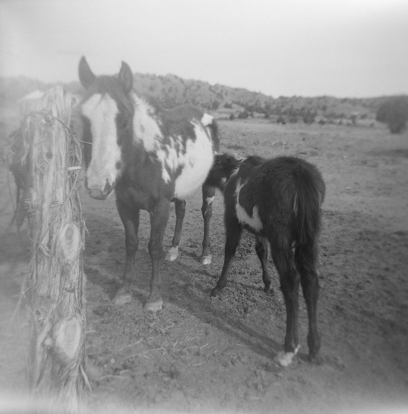 © Bobbi Barbarich - Image from the earth is not a cold dead place photography project
