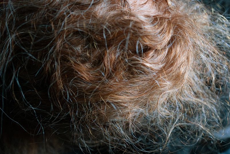 © Bobbi Barbarich - Image from the earth is not a cold dead place photography project