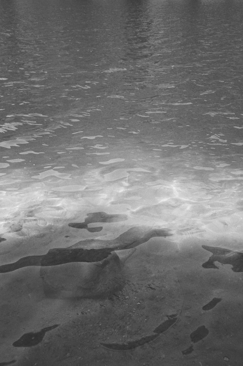 © Bobbi Barbarich - Image from the earth is not a cold dead place photography project