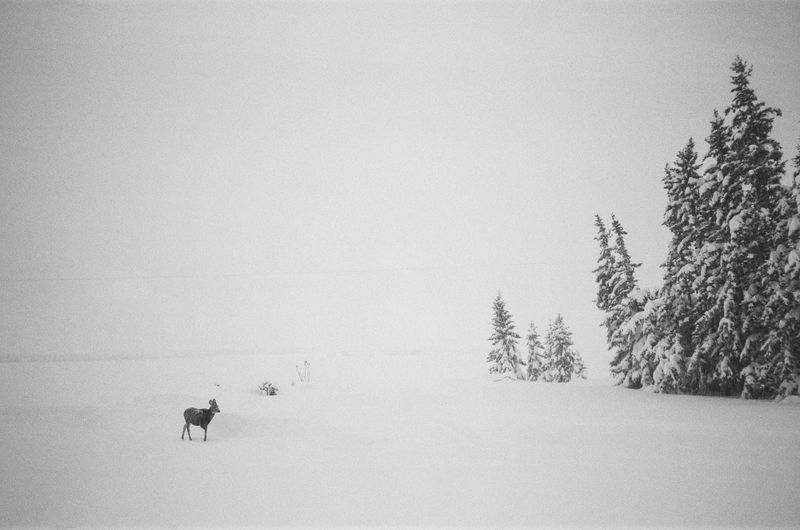 © Bobbi Barbarich - Image from the earth is not a cold dead place photography project