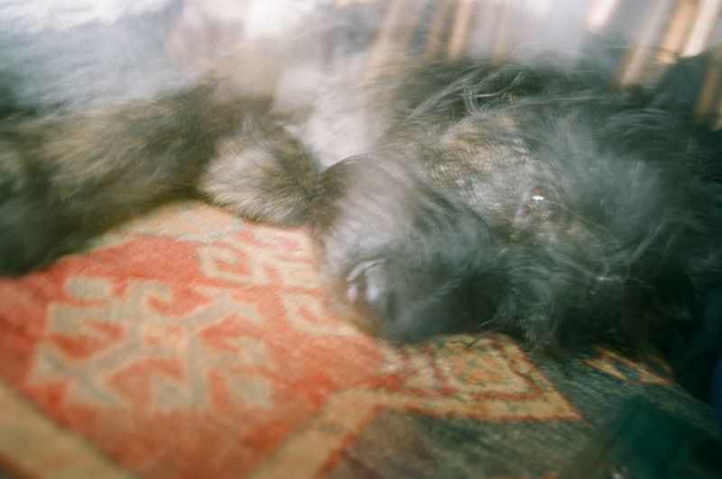 © Bobbi Barbarich - Image from the earth is not a cold dead place photography project