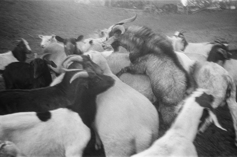 © Bobbi Barbarich - Image from the Home / not home photography project