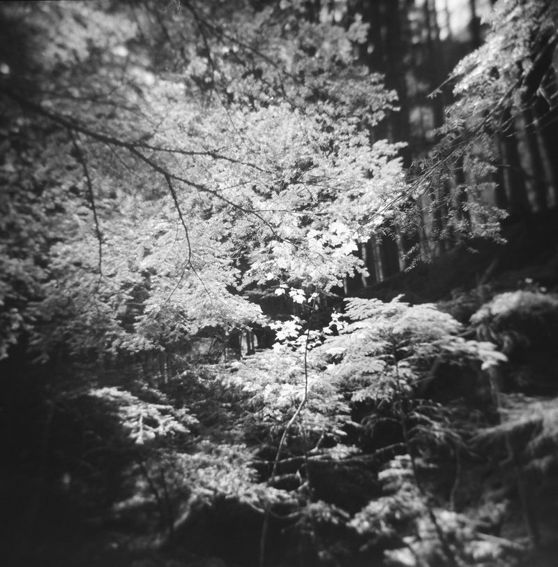 © Bobbi Barbarich - Image from the Home / not home photography project