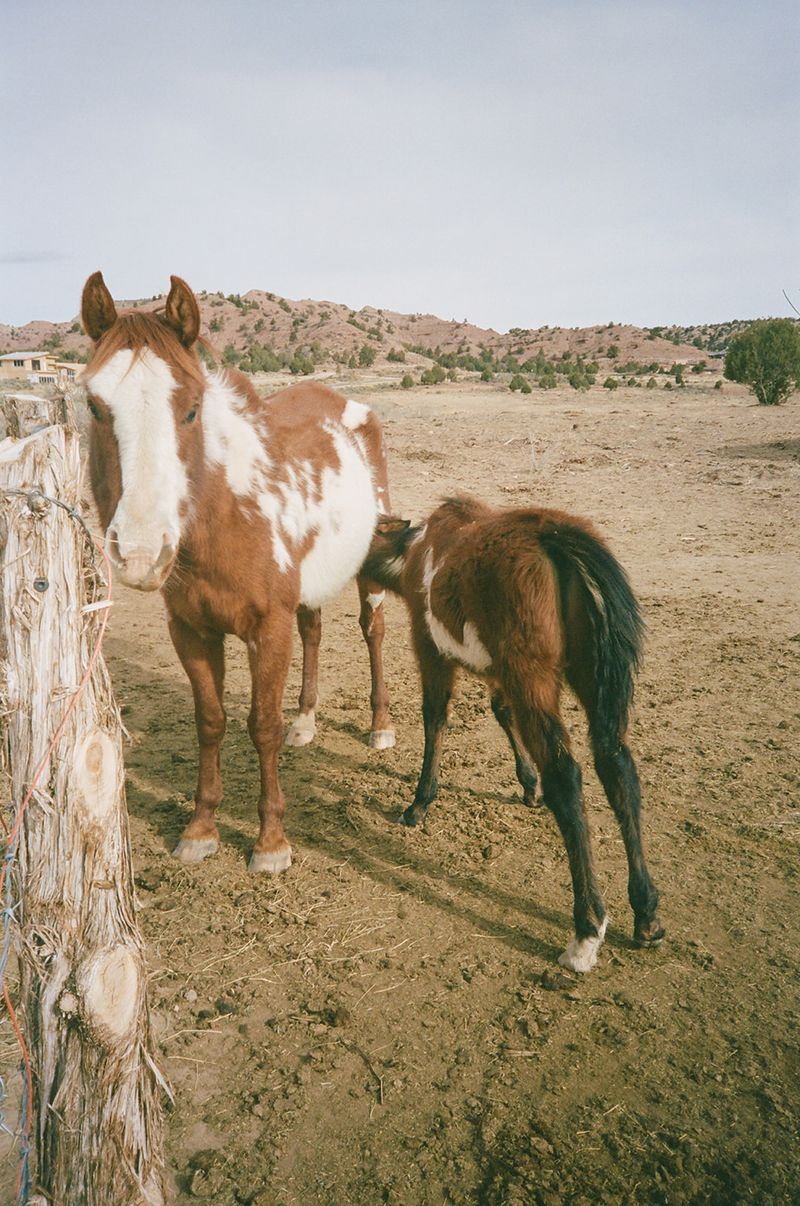 © Bobbi Barbarich - Image from the Home / not home photography project