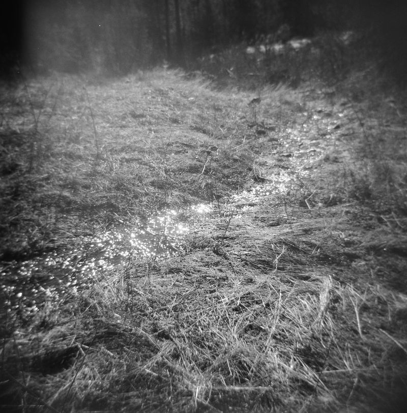 © Bobbi Barbarich - Image from the Home / not home photography project