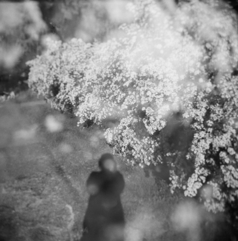 © Bobbi Barbarich - Image from the Home / not home photography project