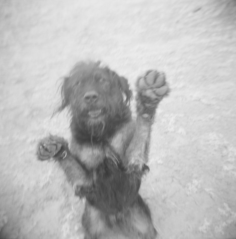 © Bobbi Barbarich - Image from the Home / not home photography project