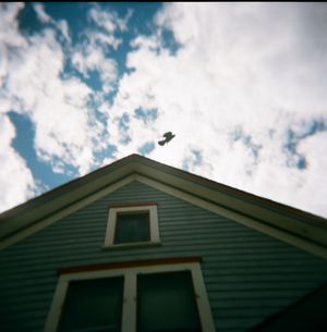 Home / not home
