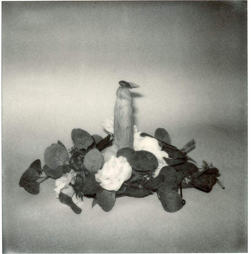 © Jorge Herrera - Image from the Cherry Wood, "Serenatas" and "Preludes" photography project